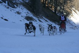 2007_Spluegen