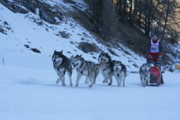 2007_Spluegen