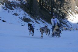 2007_Spluegen