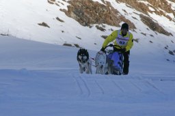 2007_Spluegen
