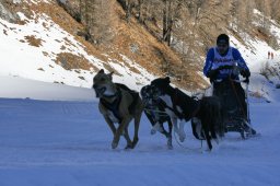 2007_Spluegen