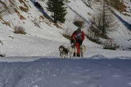 2007_Spluegen