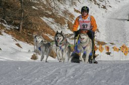 2007_Spluegen