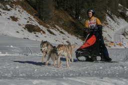 2007_Spluegen