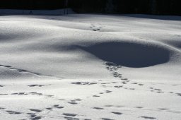 2007_Spluegen