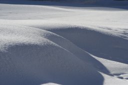 2007_Spluegen