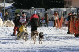 2007_Spluegen