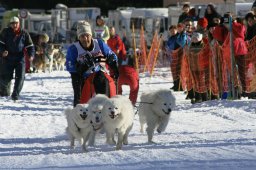 2007_Spluegen