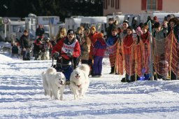 2007_Spluegen