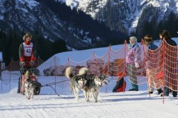 2007_Spluegen