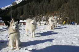2007_Spluegen