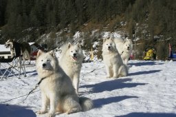 2007_Spluegen