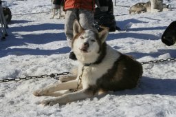 2007_Spluegen