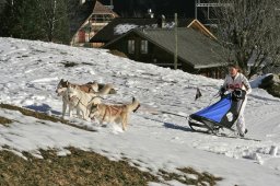Kandersteg 2008