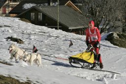 Kandersteg 2008