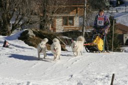 Kandersteg 2008