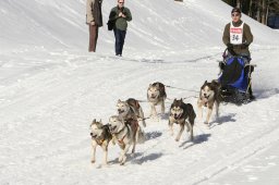 Kandersteg 2008