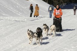 Kandersteg 2008