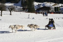 Kandersteg 2008