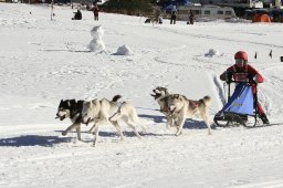 Kandersteg 2008
