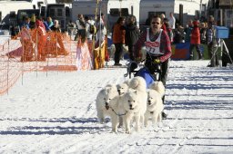 Kandersteg 2008