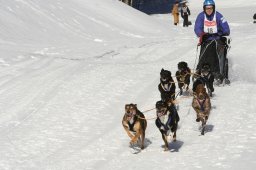 Kandersteg 2008