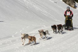 Kandersteg 2008