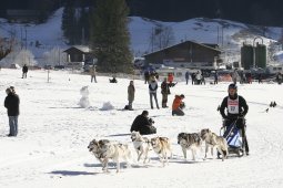 Kandersteg 2008