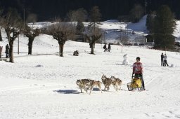 Kandersteg 2008