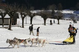 Kandersteg 2008