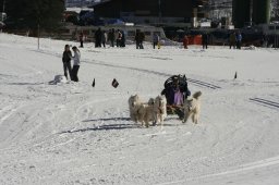 Kandersteg 2008