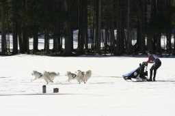 Kandersteg 2008
