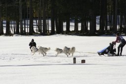 Kandersteg 2008