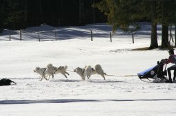 Kandersteg 2008
