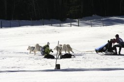 Kandersteg 2008