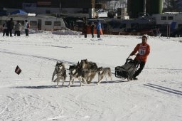 Kandersteg 2008