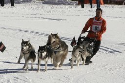 Kandersteg 2008