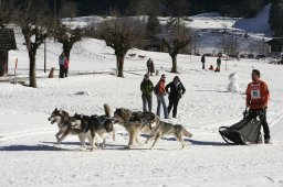Kandersteg 2008