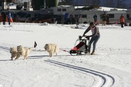 Kandersteg 2008