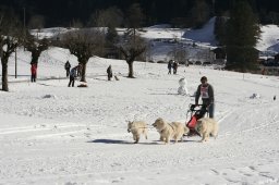 Kandersteg 2008