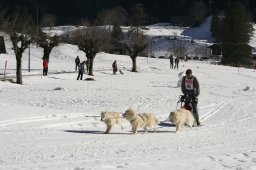 Kandersteg 2008