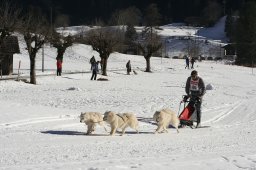 Kandersteg 2008
