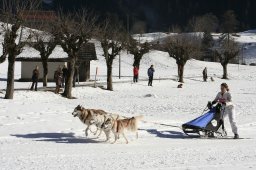 Kandersteg 2008