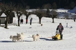 Kandersteg 2008