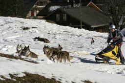 Kandersteg 2008