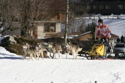 Kandersteg 2008