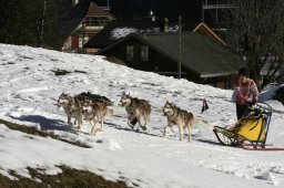Kandersteg 2008