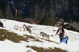 Kandersteg 2008