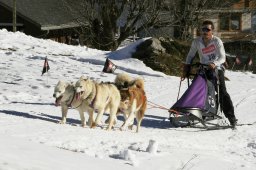 Kandersteg 2008