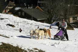 Kandersteg 2008